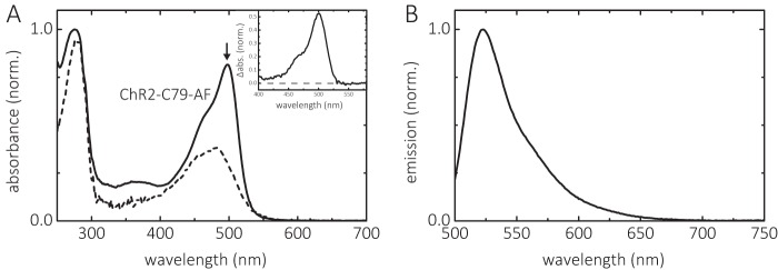 FIGURE 2.