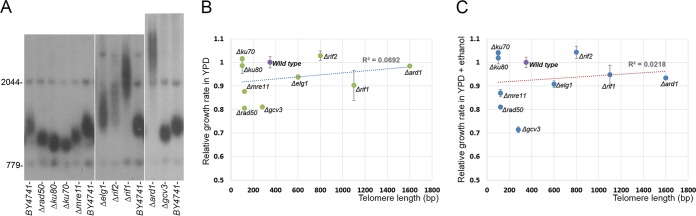 FIG 1 