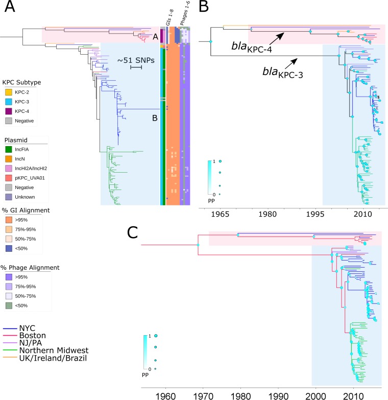 FIG 2 