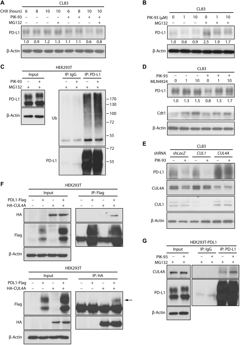 Fig. 3.