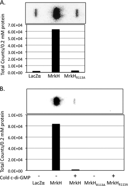 Fig. 6.