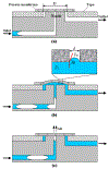 Fig. 1: