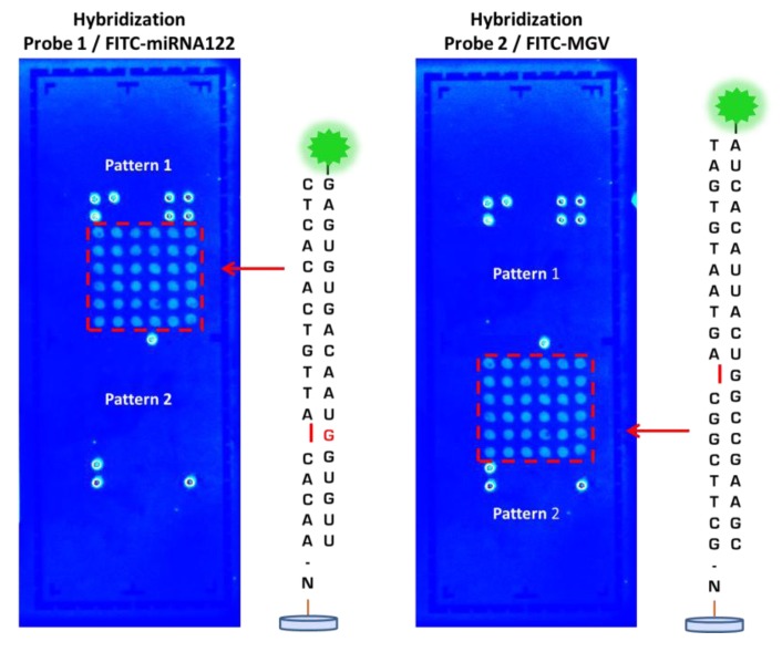 Figure 6.