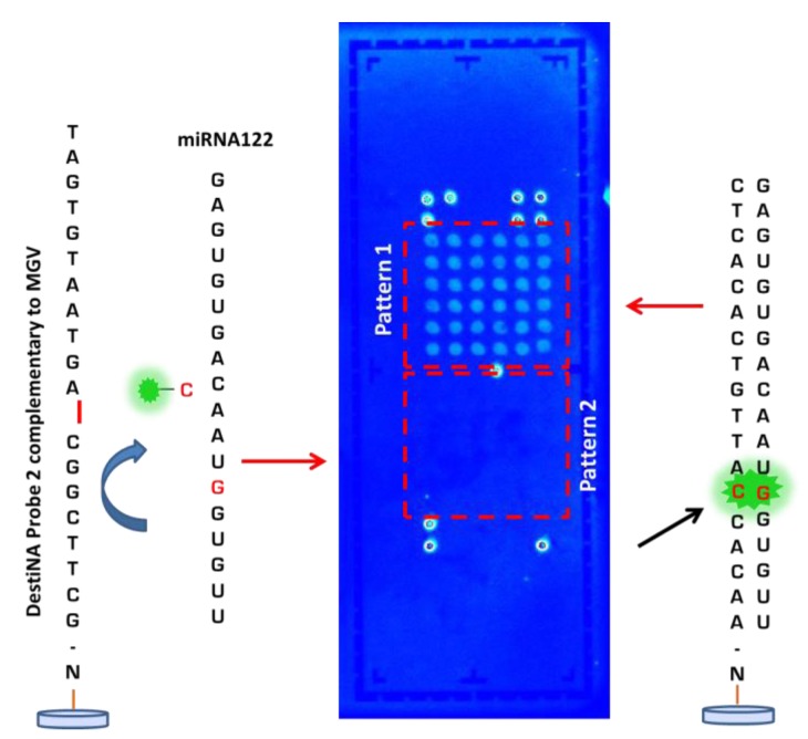 Figure 7.