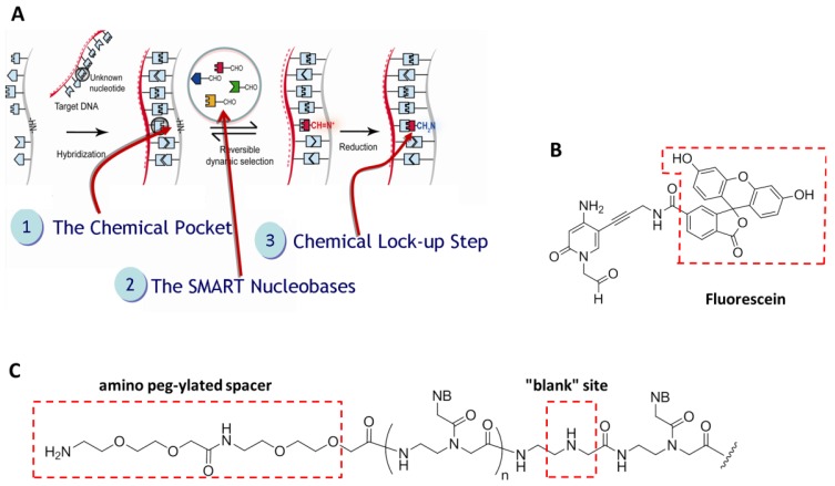 Figure 2.