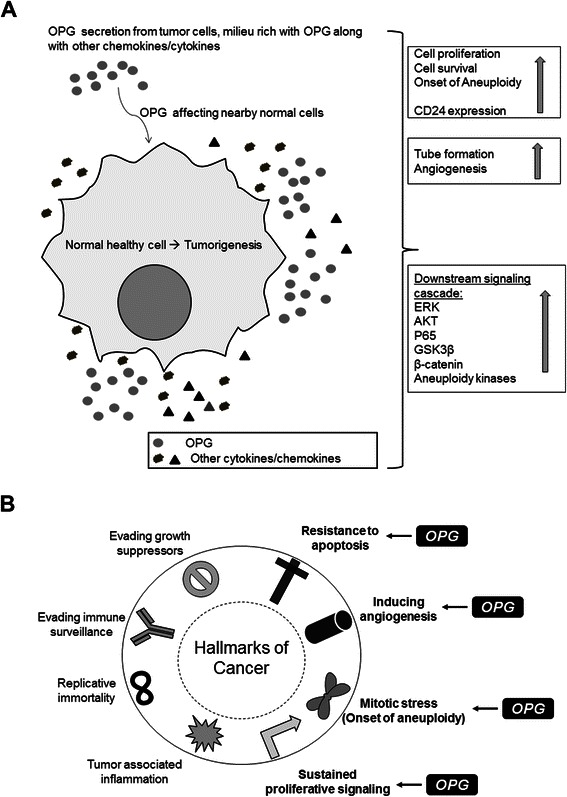 Fig. 11