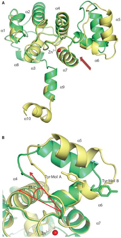 Fig. 6