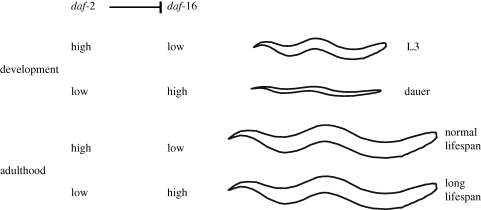 Figure 2.