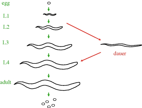 Figure 1.