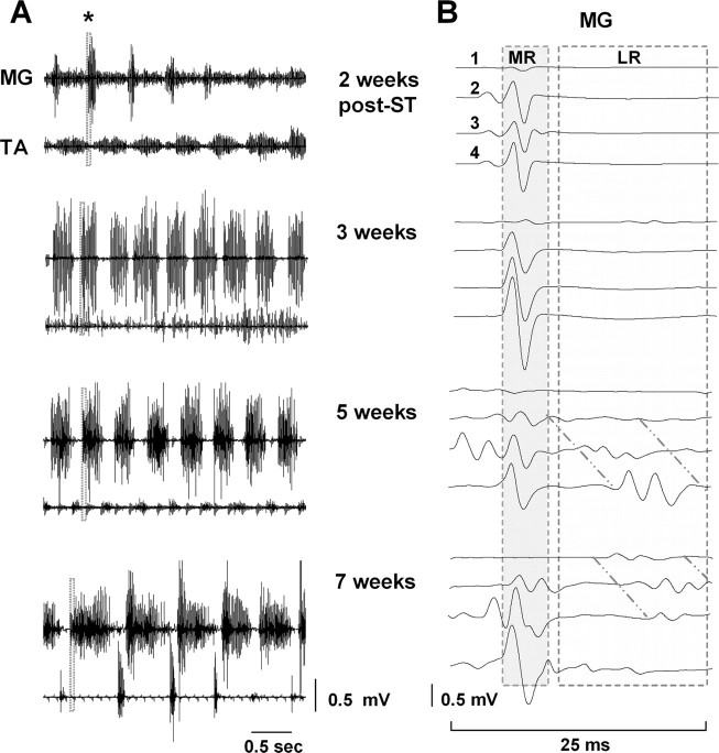 Figure 7.