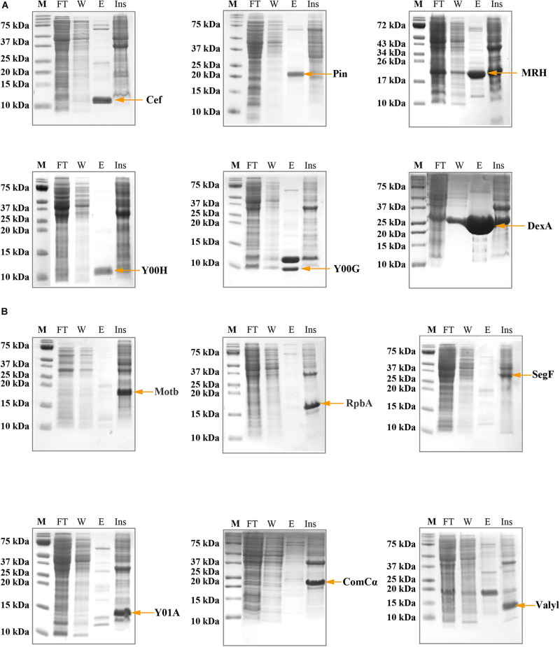 FIGURE 2