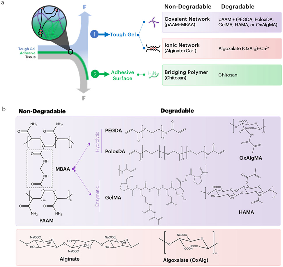 Figure 1: