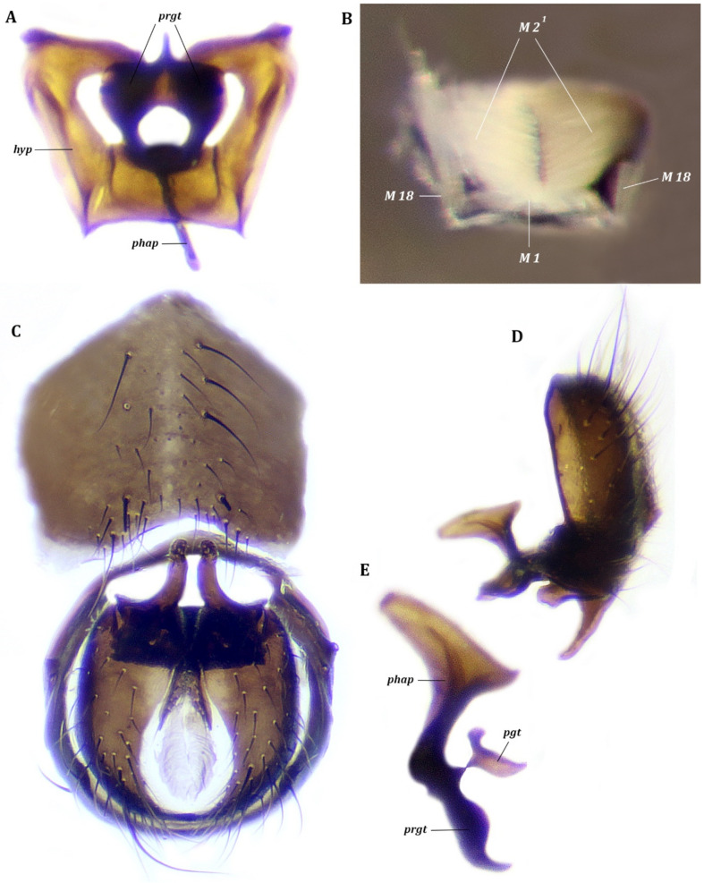 Figure 5