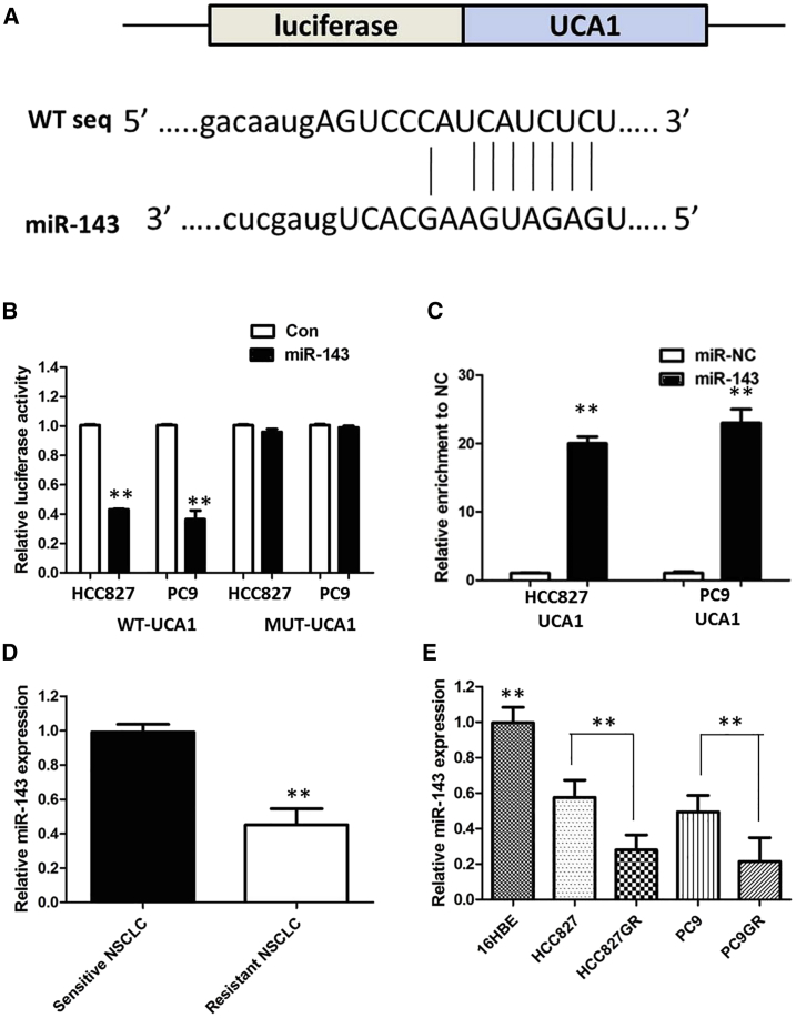 Figure 5