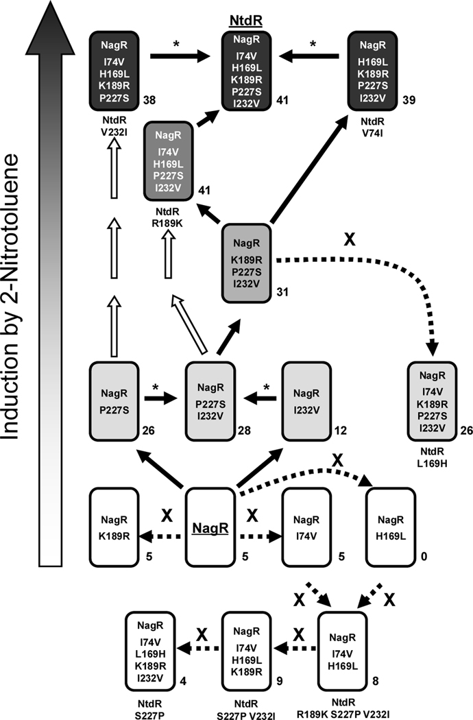 Fig. 9.