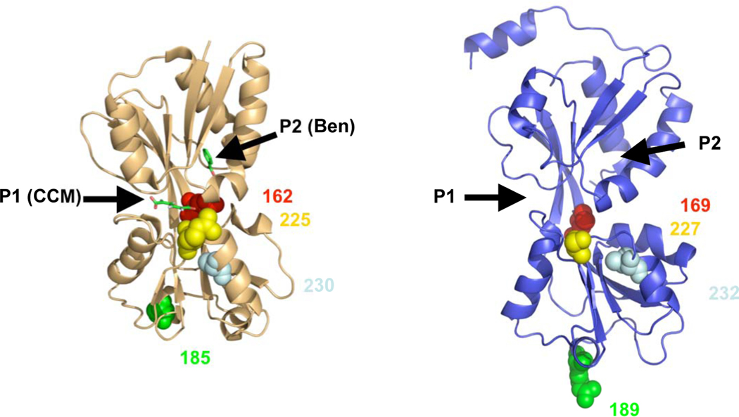 Fig. 8.