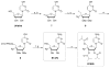 Scheme 2