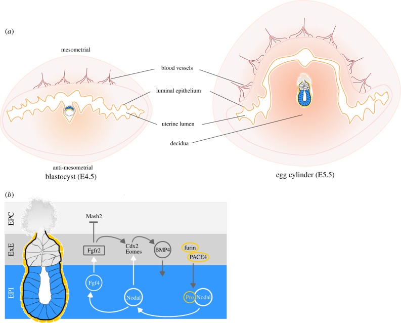 Figure 4.