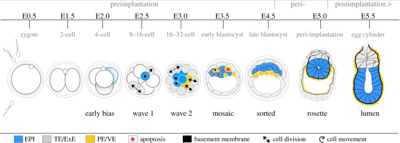 Figure 1.