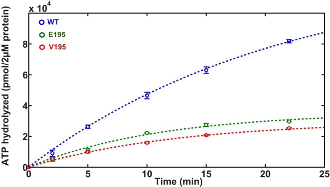 Figure 5.