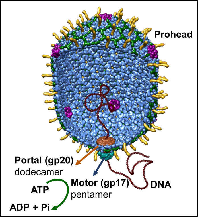 Figure 1.