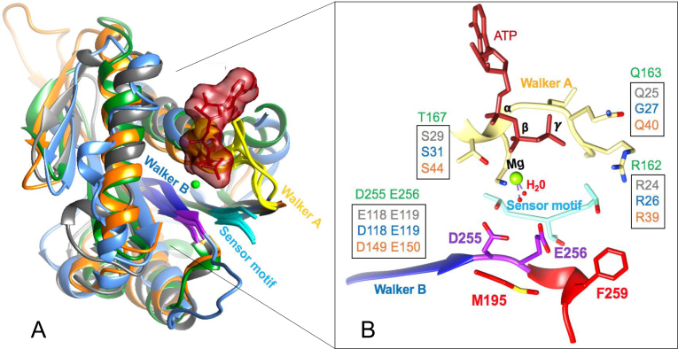 Figure 2.