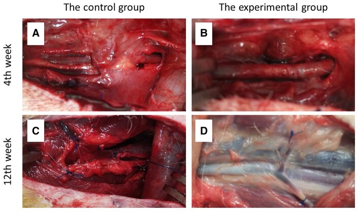 Figure 2: