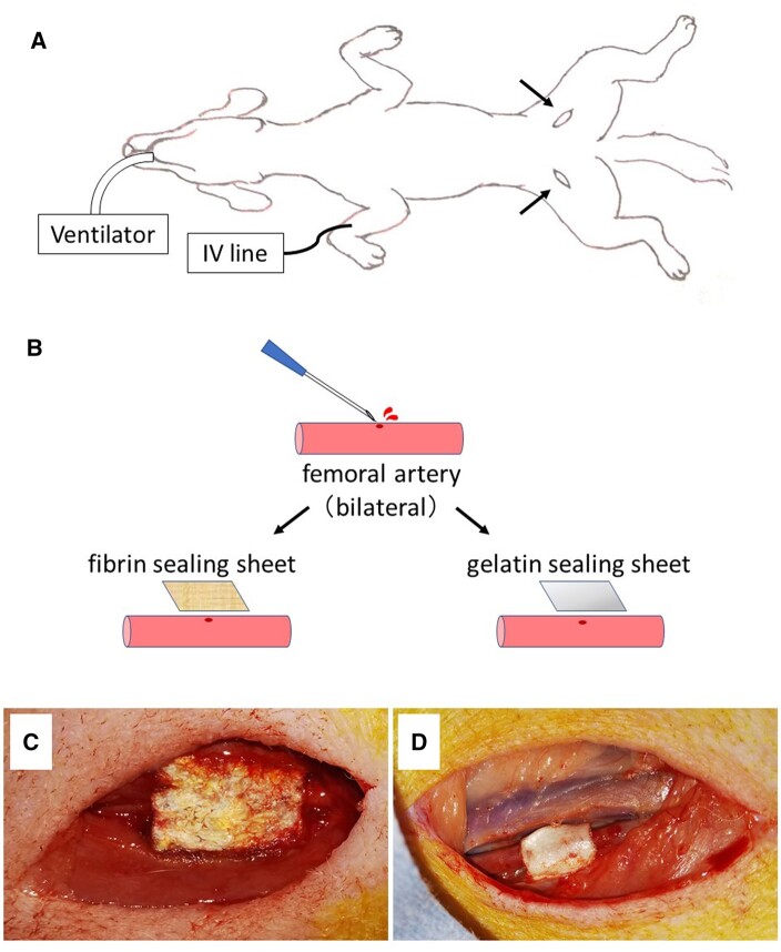 Figure 1: