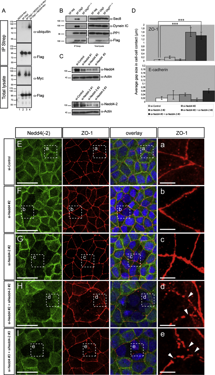 Figure 6