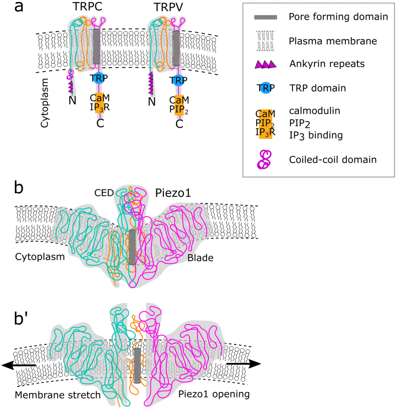 Fig. 2