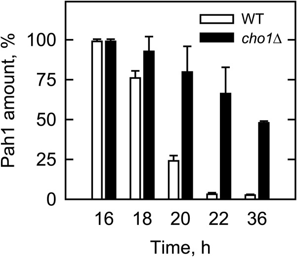 Fig. 10.