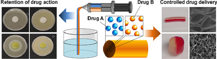 Image, graphical abstract