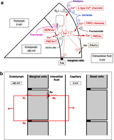 Fig. 12