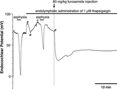 Fig. 7