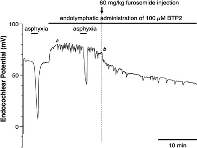 Fig. 6