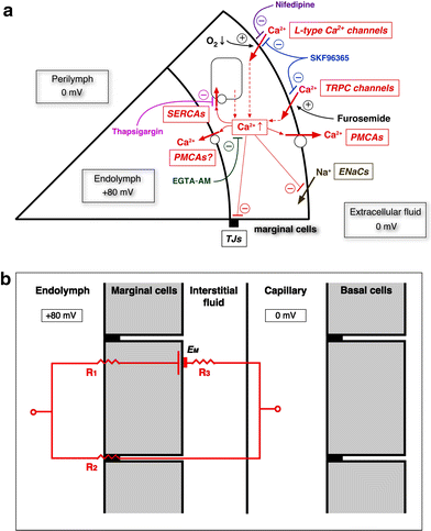 Fig. 12