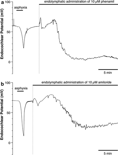 Fig. 11