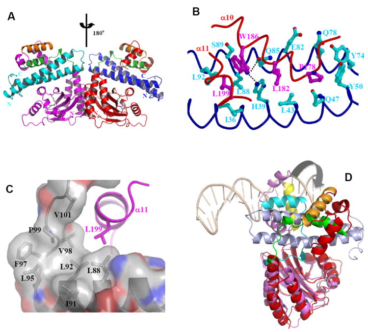 Figure 11