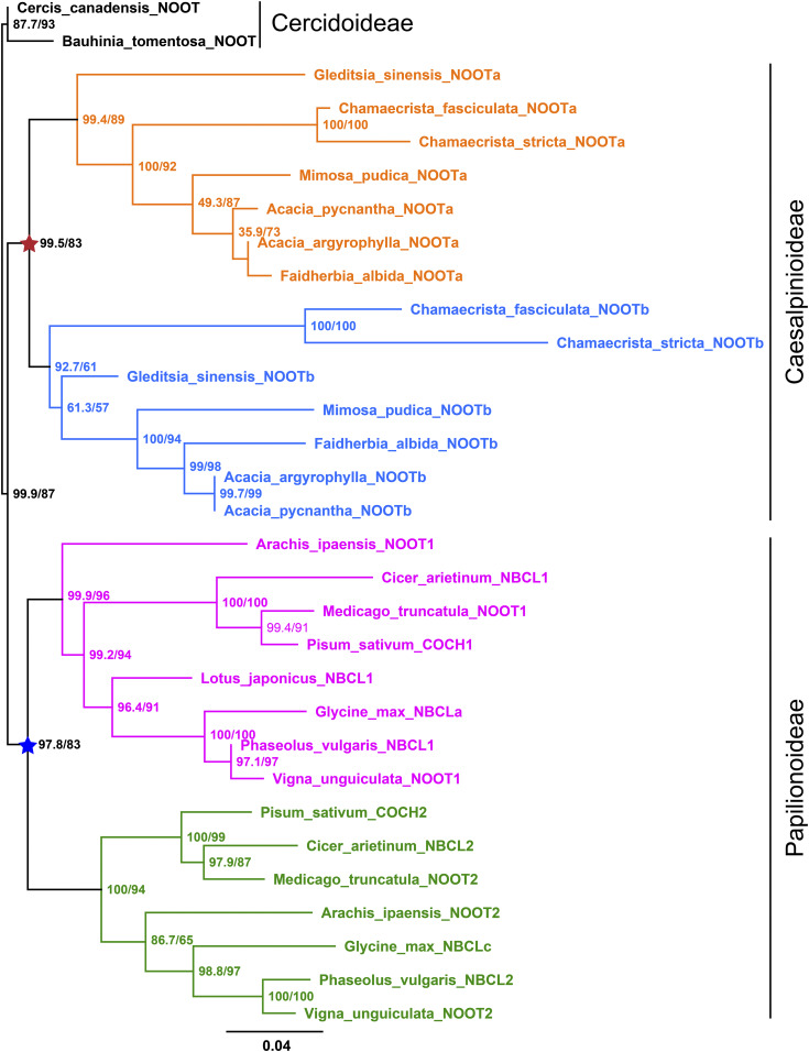 Figure 6.