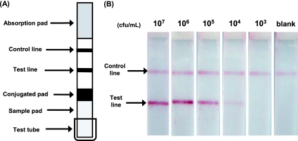 FIG. 1.