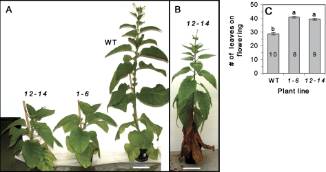 Fig. 4.