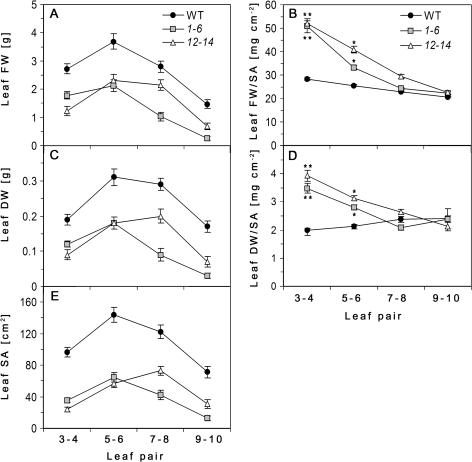 Fig. 3.