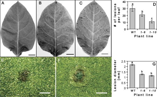 Fig. 8.