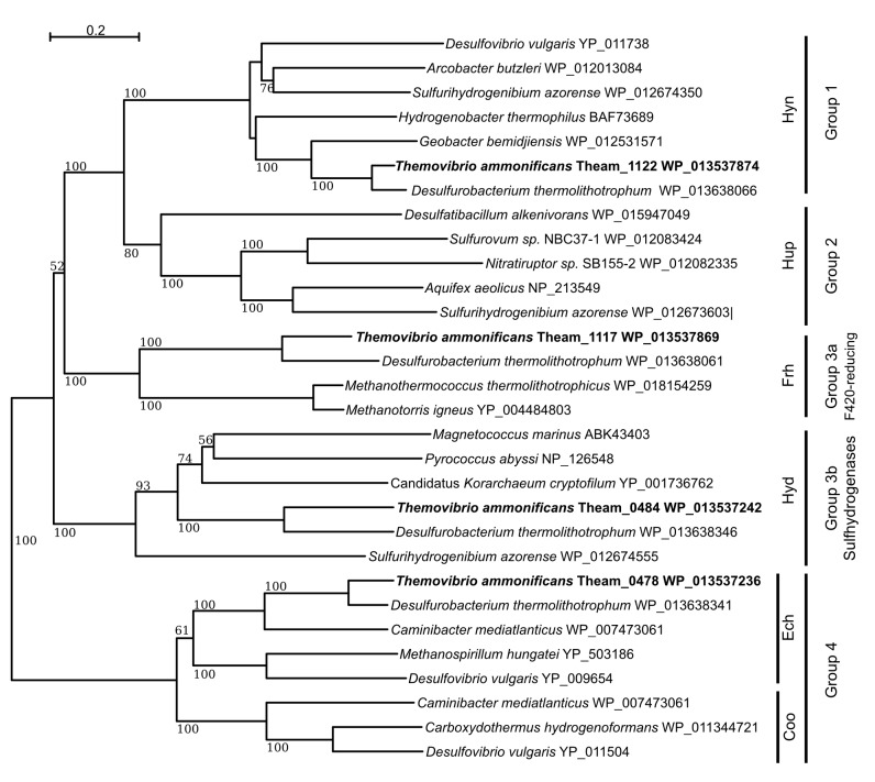 Figure 5.