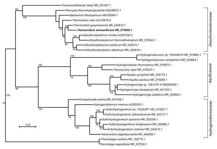 Figure 1—figure supplement 1.