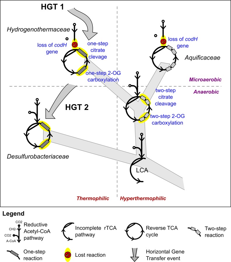 Figure 10.