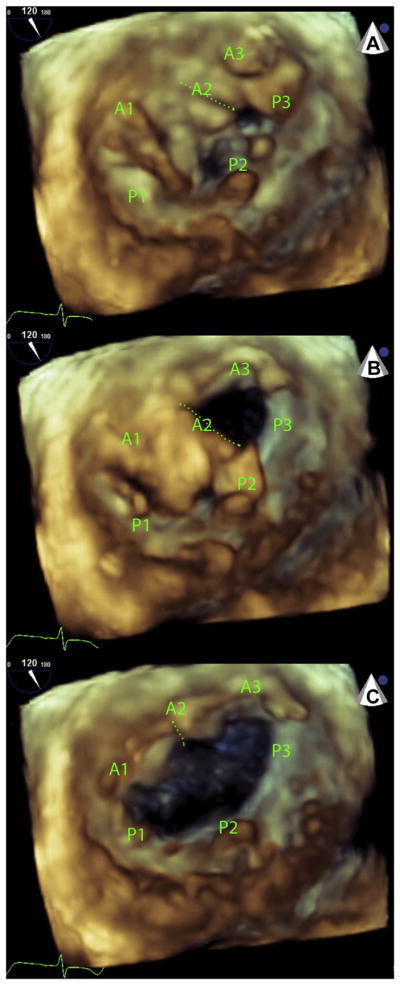 FIGURE 5