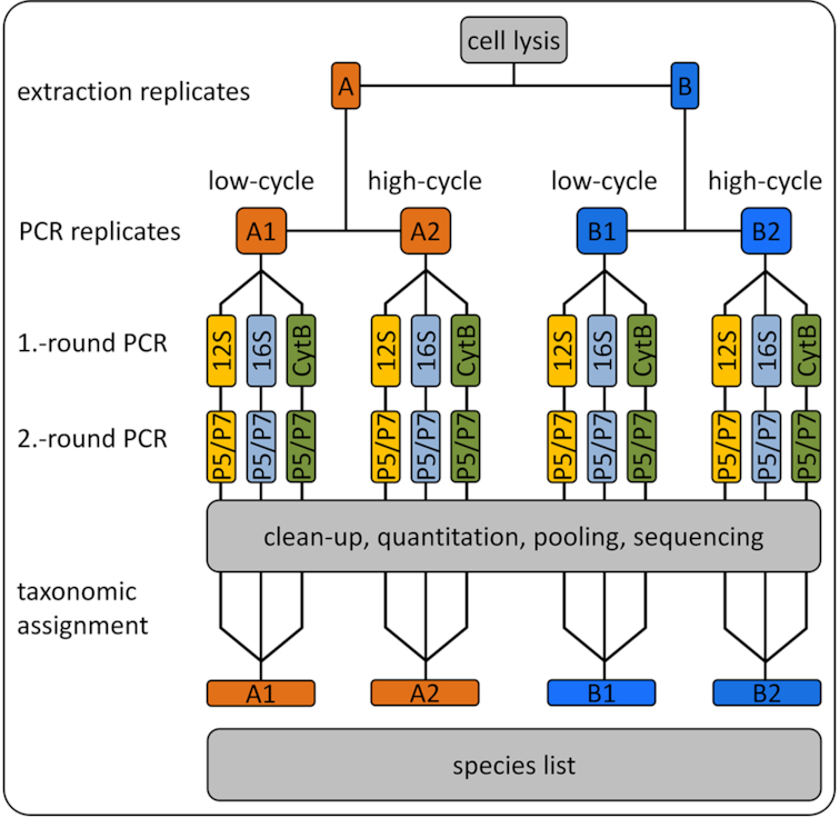 Figure 1: