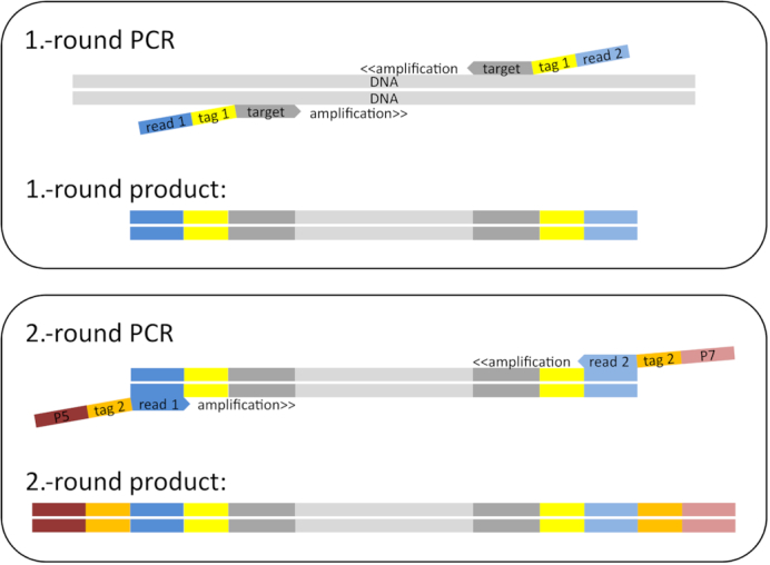 Figure 2: