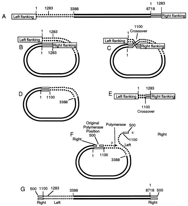 FIG. 10